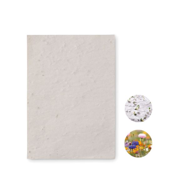 Carte à planter ASIDO en papier recyclé ensemencé blanc au format A6, avec zoom sur les graines et fleurs sauvages