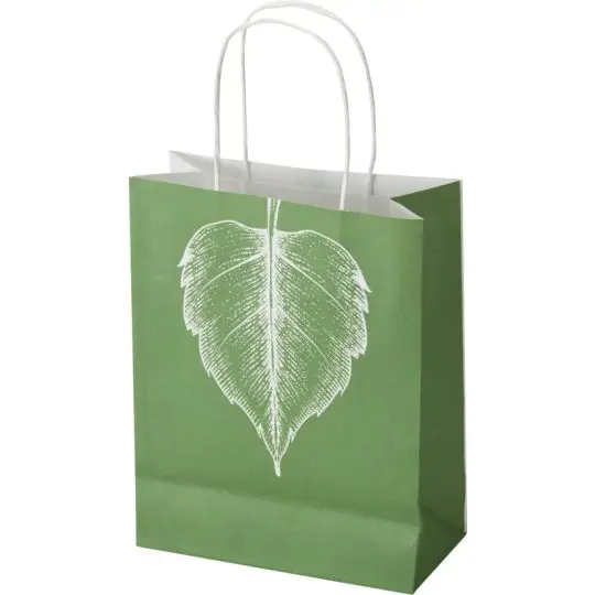 Sac kraft personnalisé 18 x 9 x 23 cm imprimé vert avec grande feuille blanche et anses torsadées blanches