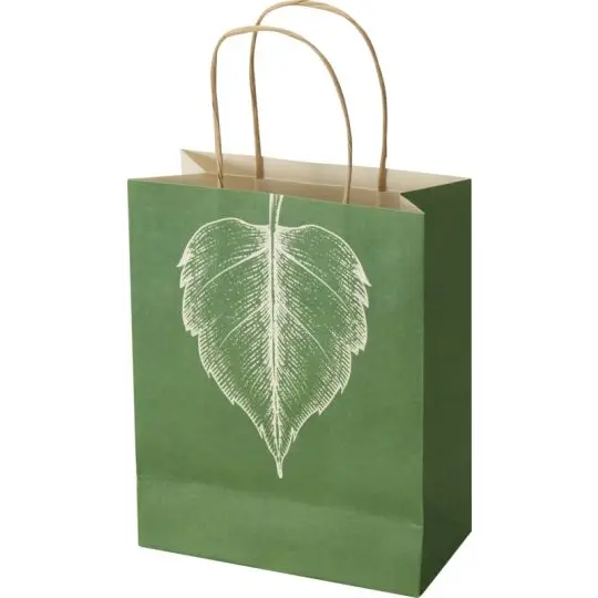 Petit sac papier personnalisé format portrait imprimé vert forêt avec grande feuille blanche et anses torsadées kraft