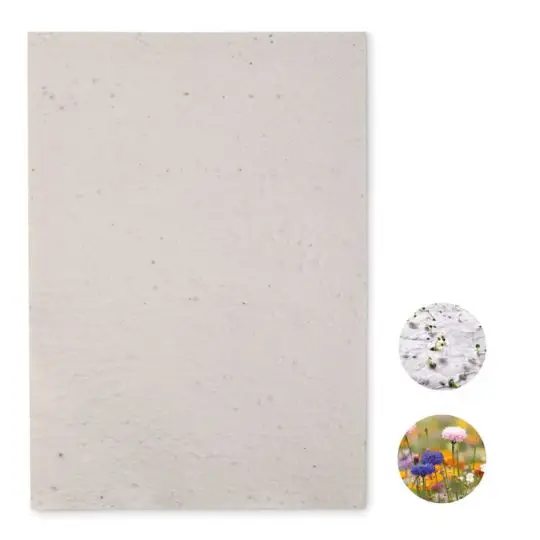 Papier ensemencé personnalisé ASIDI, feuille A4 blanche mouchetée de graines avec détail des fleurs sauvages
