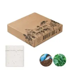 Ruban de graines personnalisé dans sa boîte kraft illustrée, avec herbes aromatiques et semis en terre